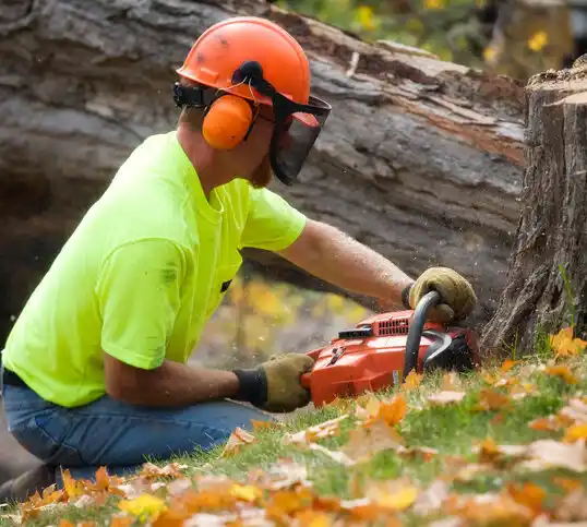 tree services High Ridge